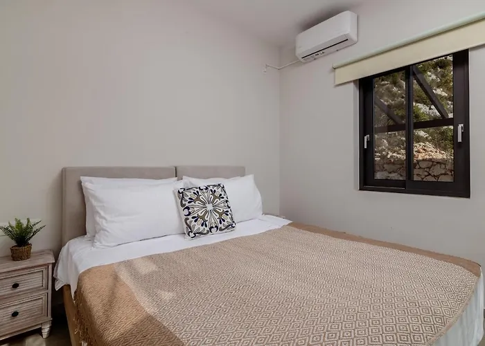 Paganos Волиме